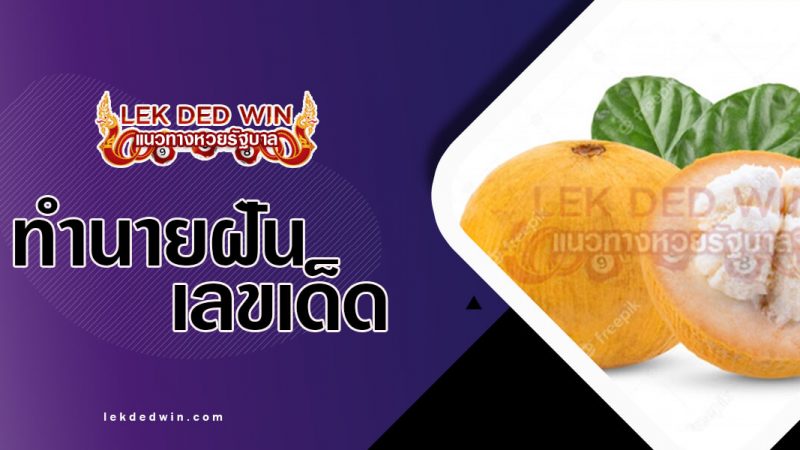 ภาพปกทำนายฝันกระท้อน
