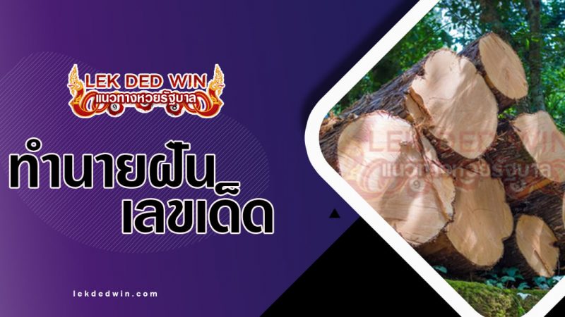 ภาพปกทำนายฝันขอนไม้