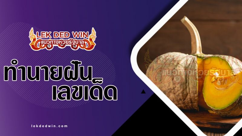 ภาพปกทำนายฝันฟักทอง