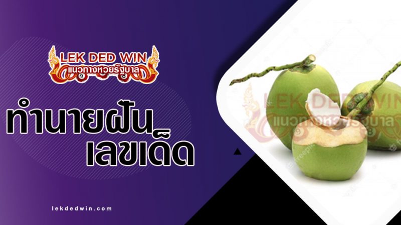ภาพปกทำนายฝันมะพร้าว