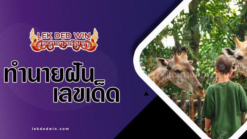 ภาพปกทำนายฝันสวนสัตว์