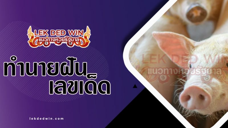 ภาพปกทำนายฝันหมู