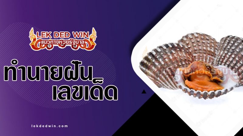 ภาพปกทำนายฝันหอยแครง