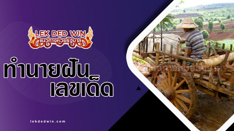 ภาพปกทำนายฝันเกวียน