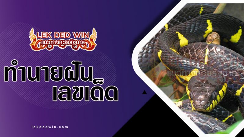 ภาพปกทำนายฝันเห็นงู