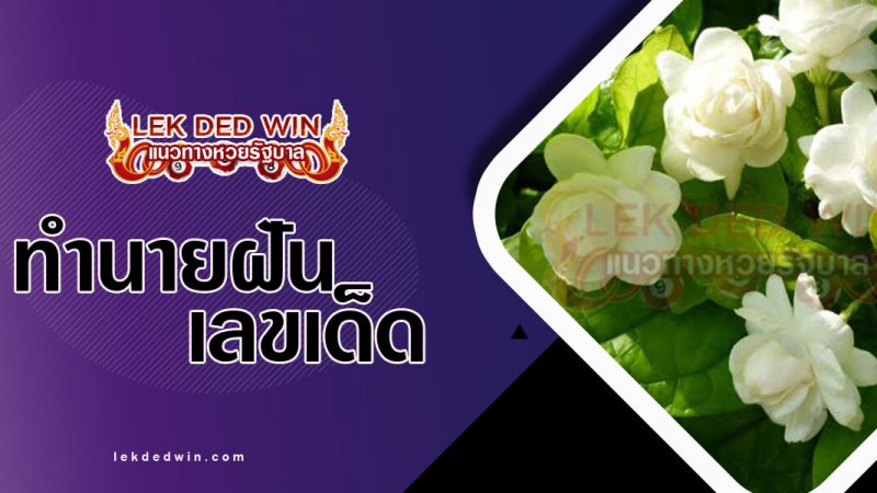 ปกทำนายฝันเห็นมะลิ