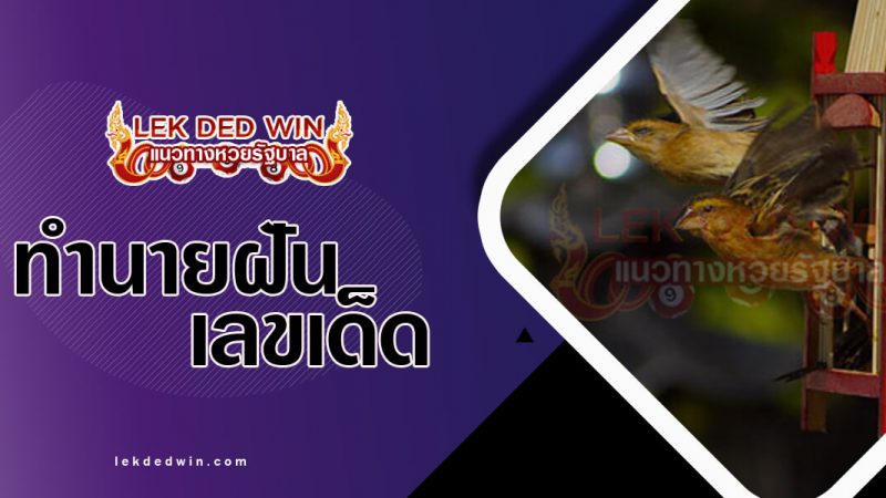 ภาพปกทำนายฝันว่าปล่อยนก