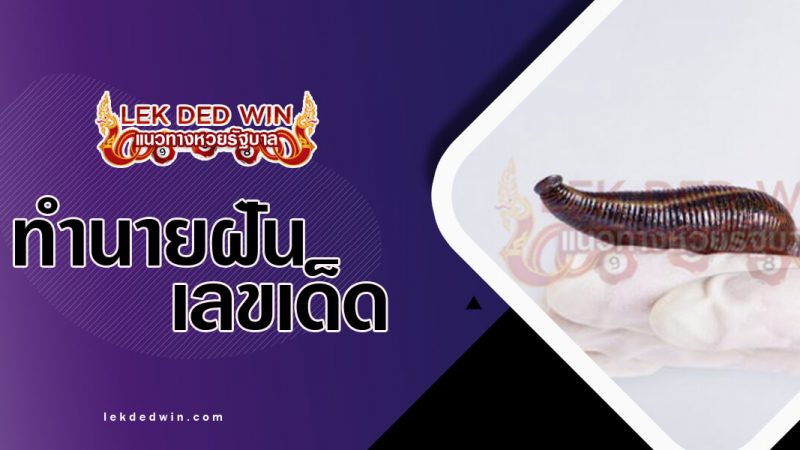 ภาพปกทำนายฝันเห็นปลิง
