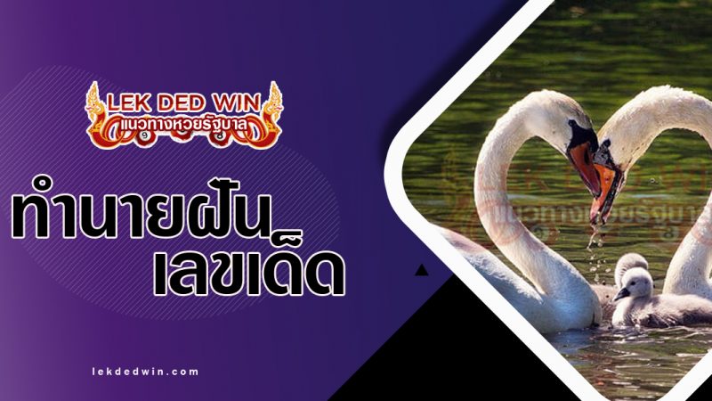 ภาพปกทำนายฝันเห็นหงส์