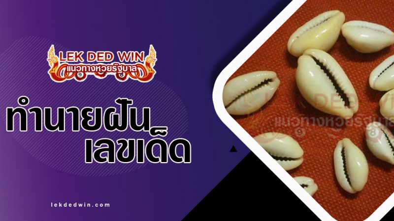 ภาพปกทำนายฝันเห็นเบี้ย
