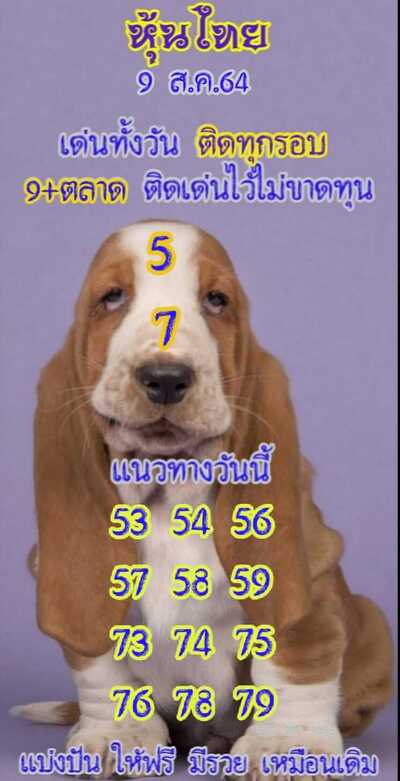 หวยหุ้นวันนี้ 9/8/64 ชุดที่10