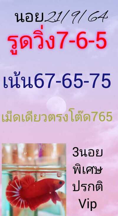 หวยฮานอยวันนี้ 21/8/64 ชุดที่11