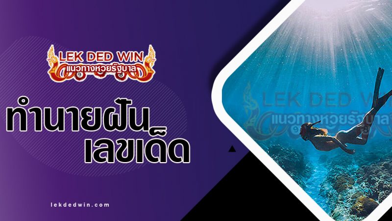 ภาพปกทำนายฝันว่าดำน้ำ