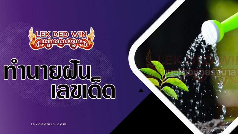ภาพปกทำนายฝันว่ารดน้ำ