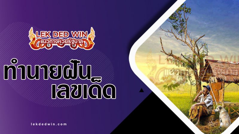ภาพปกทำนายฝันเห็นกระท่อม