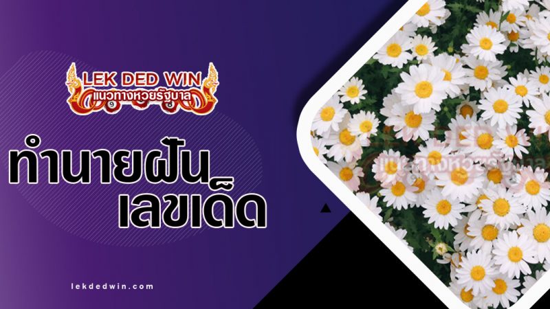 ภาพปกทำนายฝันเห็นดอกไม้