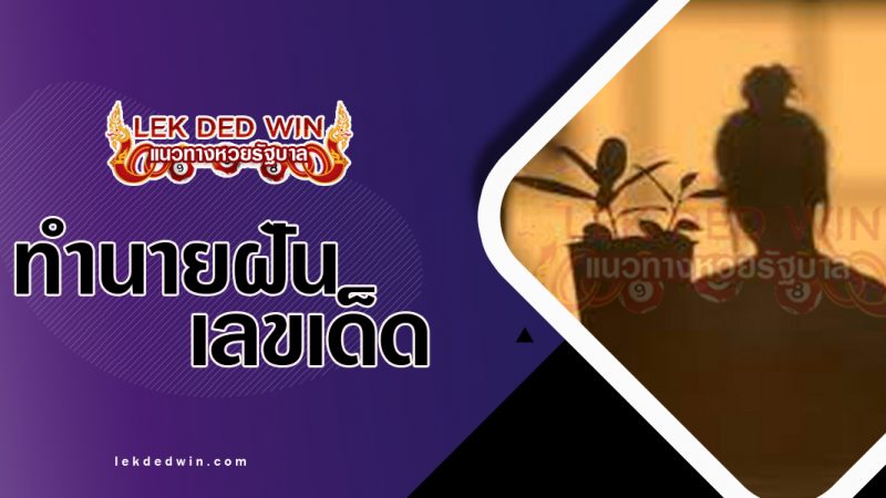 ภาพปกทำนายฝันเห็นเงา