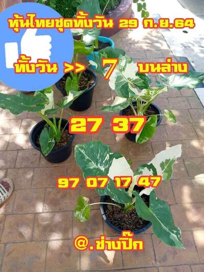 หวยหุ้นวันนี้ 29/9/64 ชุดที่4