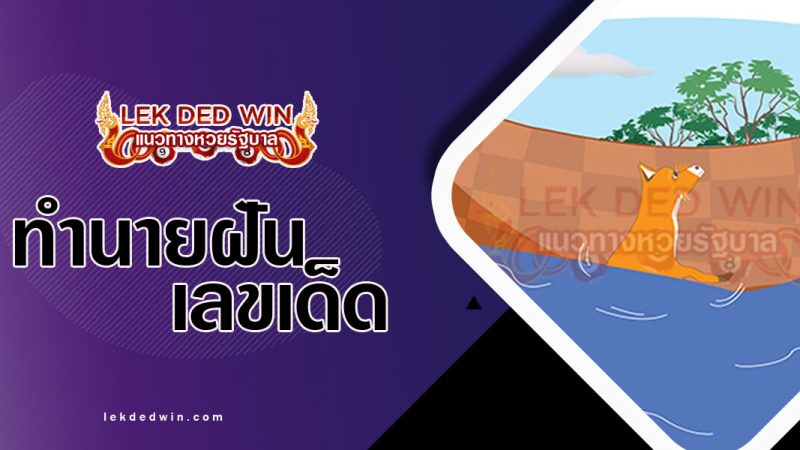 ภาพปกทำนายฝันว่าตกบ่อ