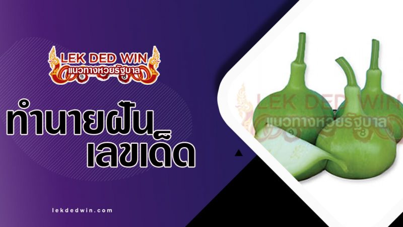 ภาพปกทำนายฝันเห็นน้ำเต้า