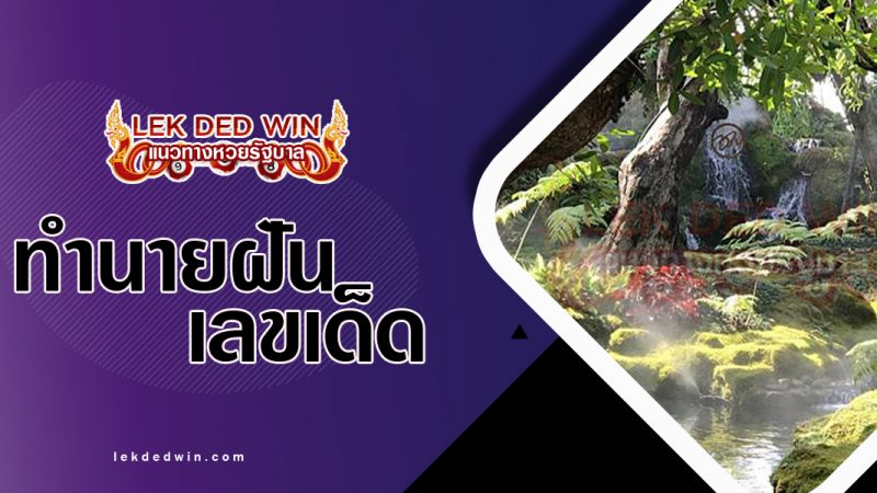 ภาพปกทำนายฝันเห็นป่าหิมพานต์