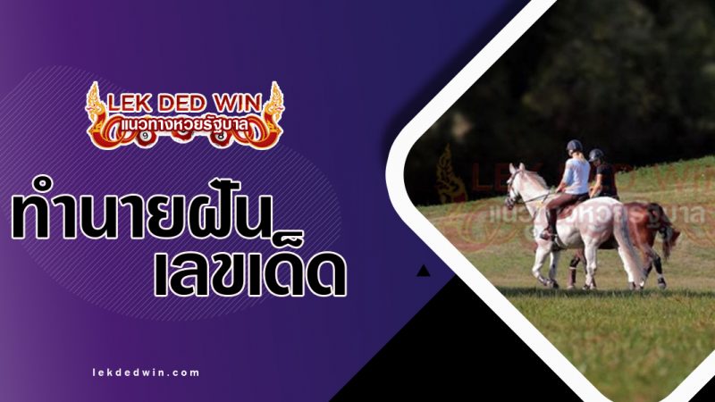 ภาพปกทำนายฝันว่าได้ขี่ม้า