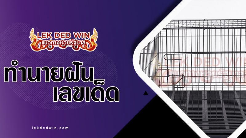 ภาพปกทำนายฝันเห็นกรง