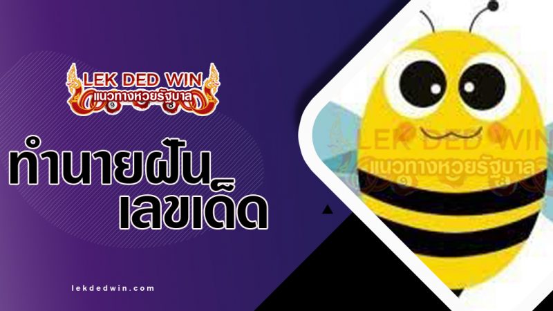 ภาพปกทำนายฝันเห็นผึ้ง