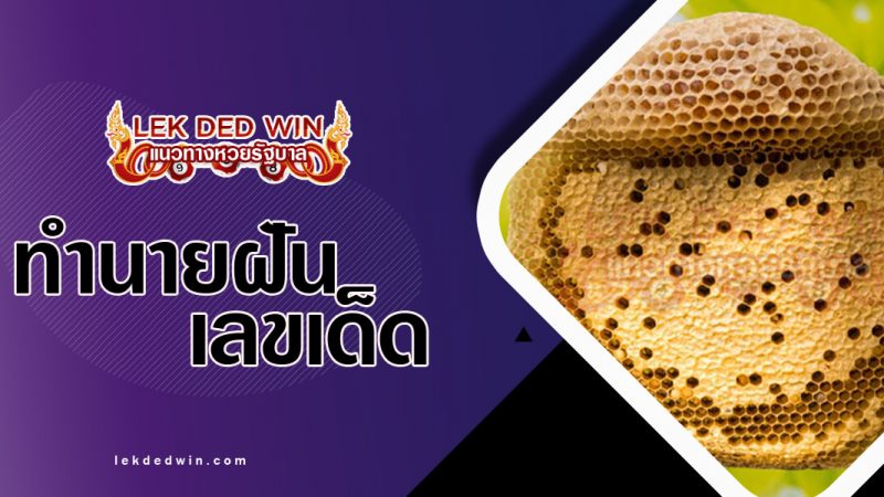 ภาพปกทำนายฝันเห็นรังผึ้ง