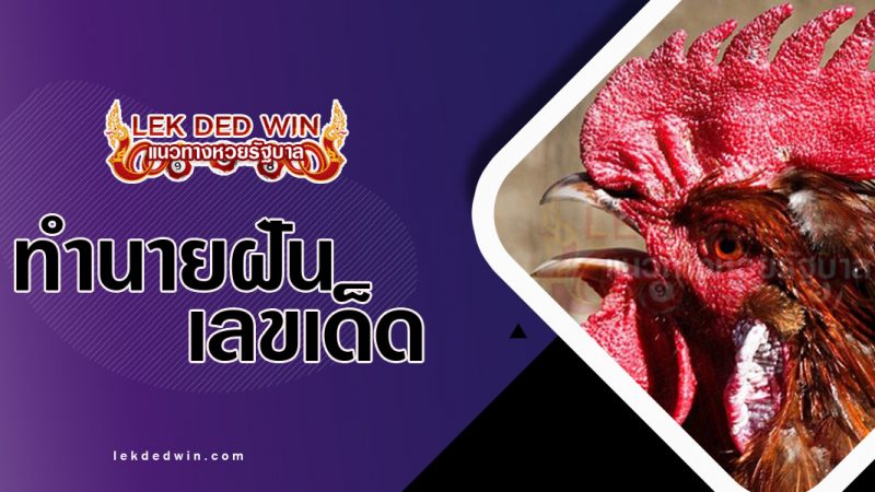 ภาพปกทำนายฝันเห็นหงอนไก่