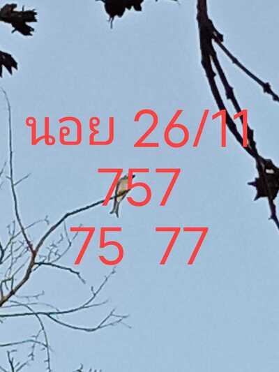 หวยฮานอยวันนี้ 26/11/64 ชุดที่5