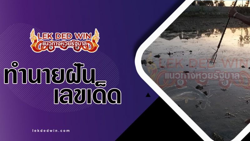 ภาพปกทำนายฝันเห็นฉมวก