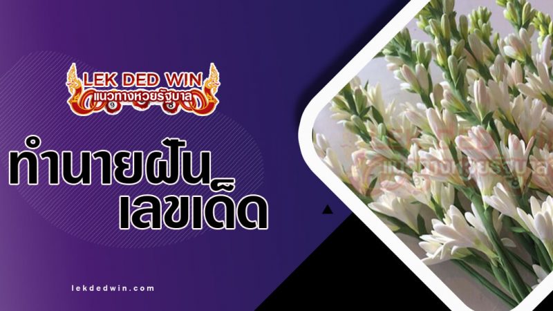ภาพปกทำนายฝันเห็นดอกซ่อนกลิ่น