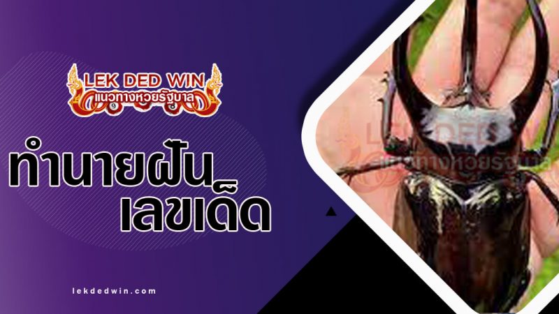 ภาพปกทำนายฝันเห็นด้วง