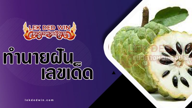 ภาพปกทำนายฝันเห็นน้อยหน่า