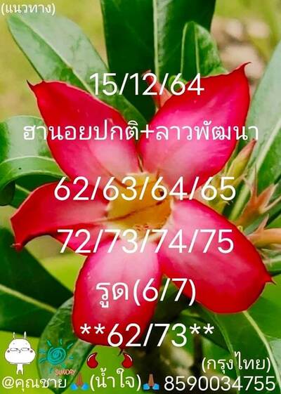 หวยลาววันนี้ 15/12/64 ชุดที่12