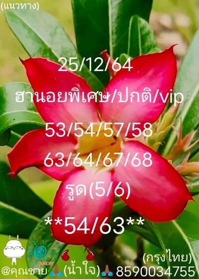 หวยฮานอยวันนี้  25/12/64ชุดที่8