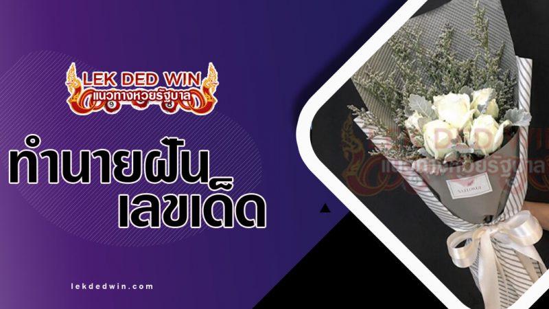 ภาพปกทำนายฝันเห็นช่อดอกไม้