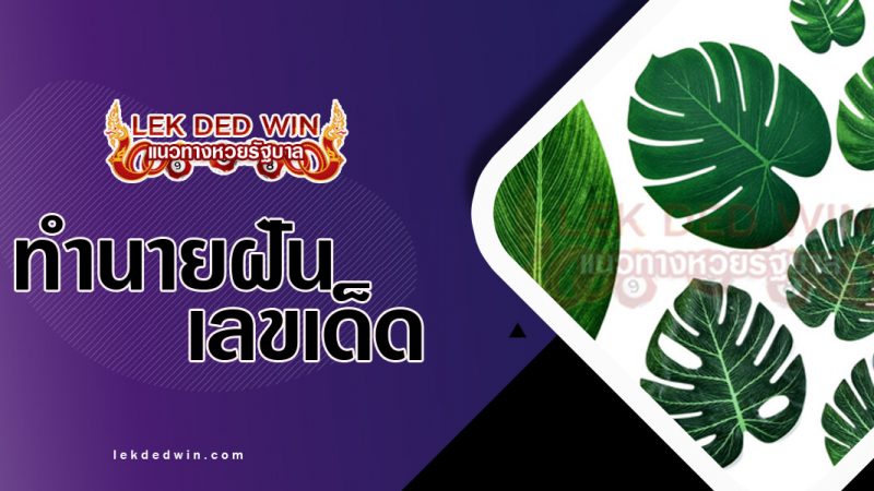 ภาพปกทำนายฝันเห็นใบไม้