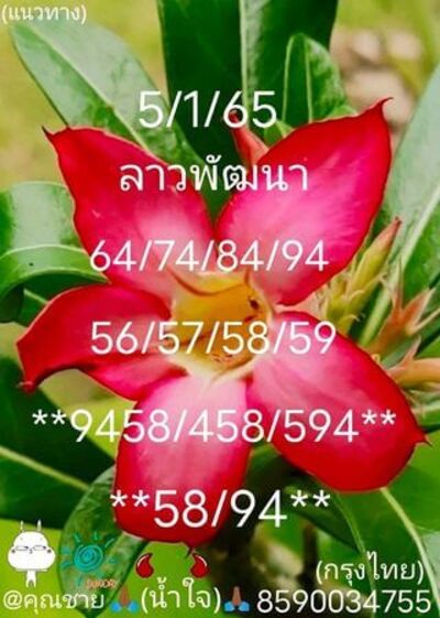 หวยลาววันนี้ 5/1/65ชุดที่13