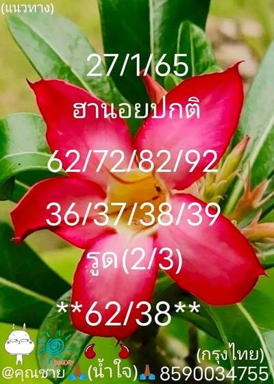 หวยฮานอยวันนี้ 27/1/65ชุดที่11