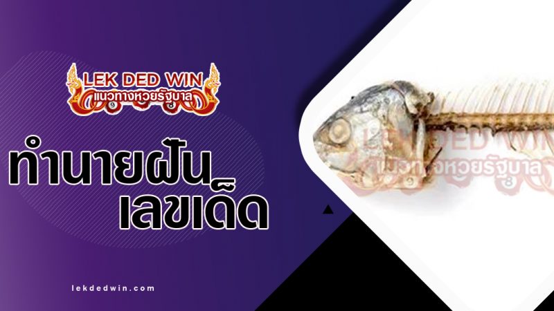 ภาพปกทำนายฝันว่าก้างปลาติดคอ