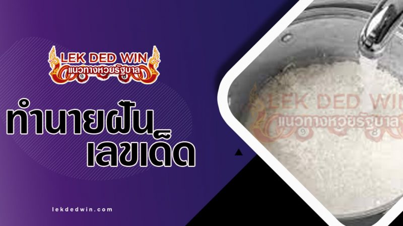 ภาพปกทำนายฝันว่าซาวข้าว