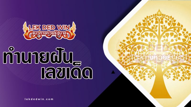 ภาพปกทำนายฝันเห็นต้นโพธิ์