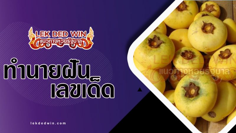 ภาพปกทำนายฝันเห็นลูกจันทน์