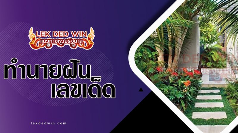 ภาพปกทำนายฝันเห็นสวน