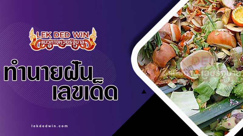 ภาพปกทำนายฝันเห็นเศษอาหาร