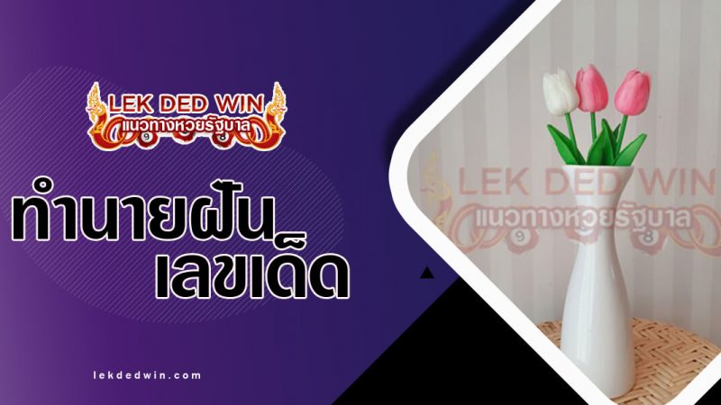 ภาพปกทำนายฝันเห็นแจกัน