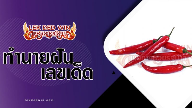 ภาพปกฝันเห็นพริก