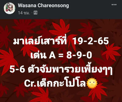 หวยมาเลย์วันนี้ 19/2/65ชุดที่9